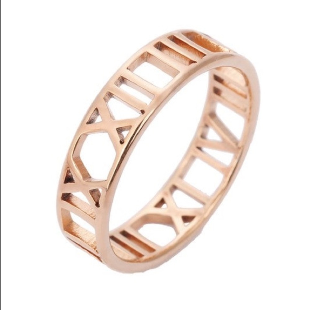 NWT Rose Gold Stainless Steel Ring